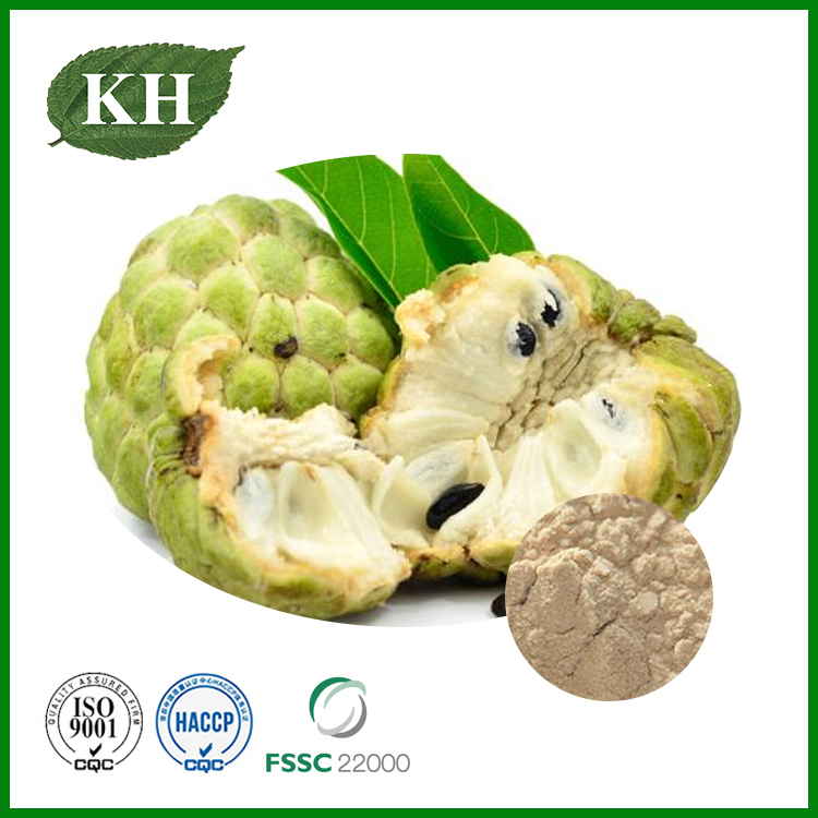 Annona Squamosa Fruit Powder