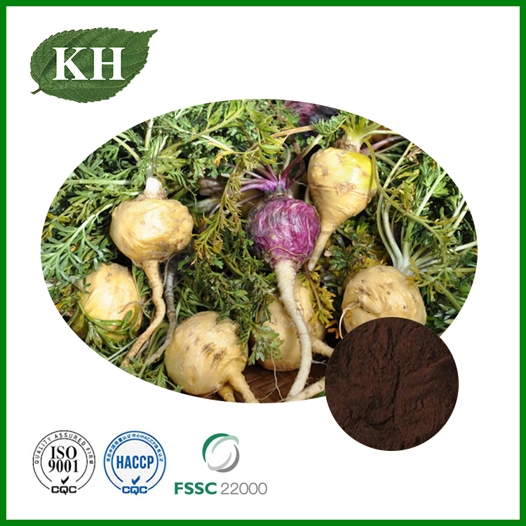 Maca Extract