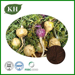 Maca Extract