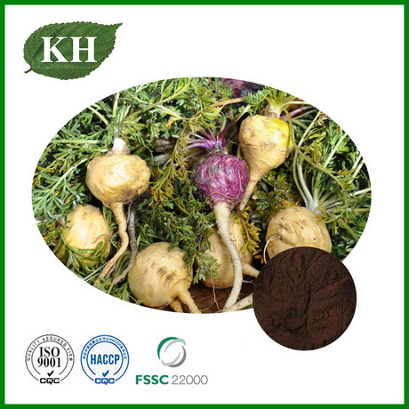 Maca Extract