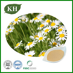 Chamomile Extract