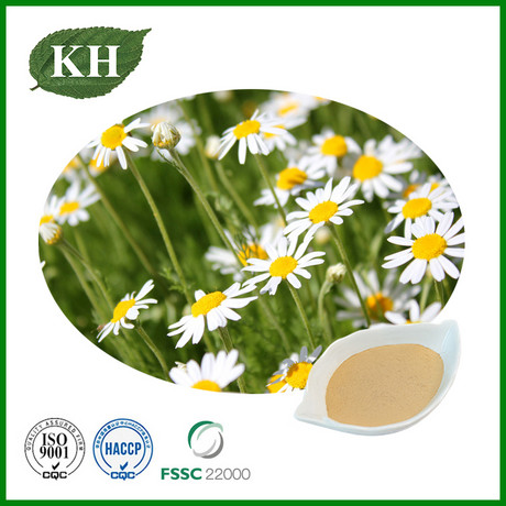 Chamomile Extract