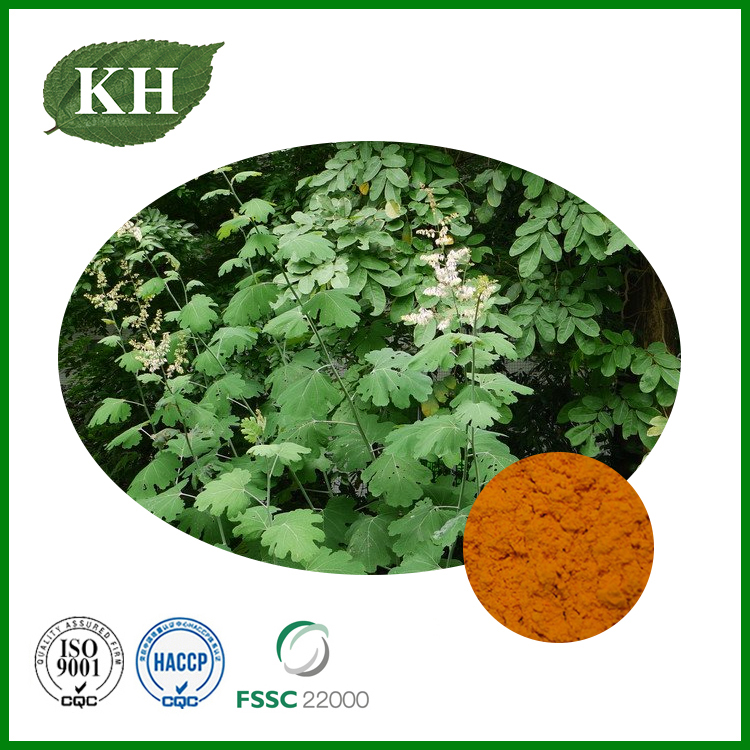 Macleaya Cordata Extract