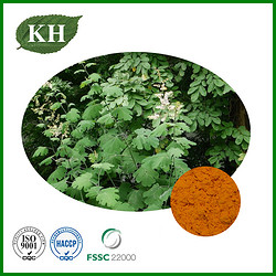 Macleaya Cordata Extract