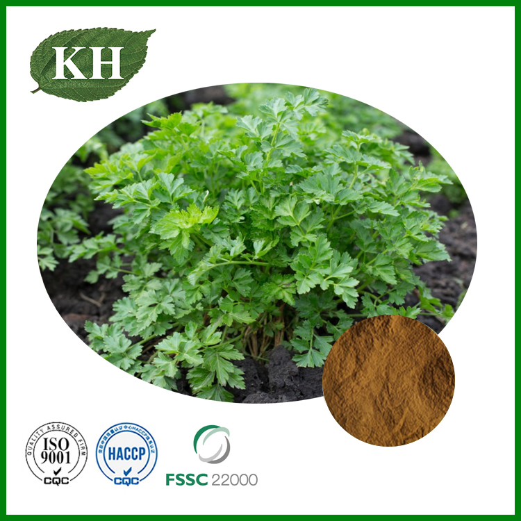 Parsley Extract