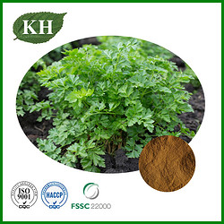Parsley Extract