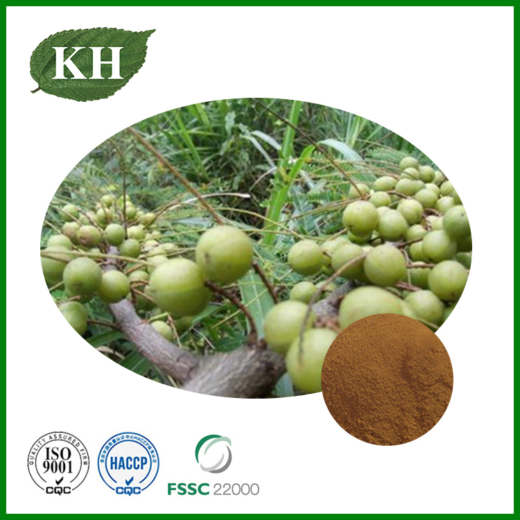 Phyllanthus Emblica Extract