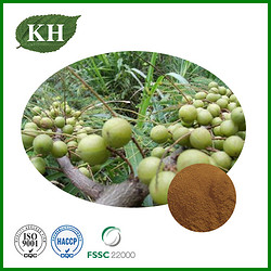 Phyllanthus Emblica Extract