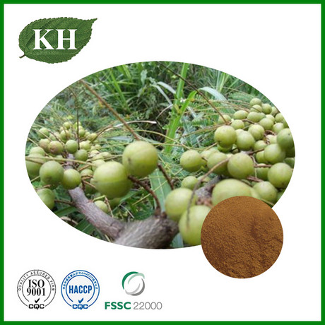 Phyllanthus Emblica Extract