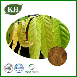 Mango Leaf Extract