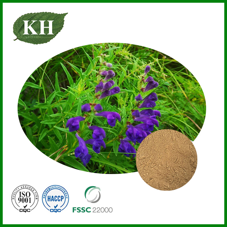 Scutellaria Baicalensis Powder