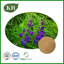 Scutellaria Baicalensis Powder