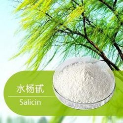 白柳皮提取物