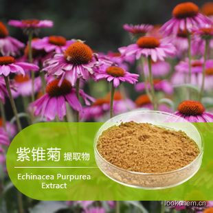 紫錐菊提取物