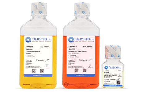 QuaCell®CellBest Basal Medium & 007 Feed Medium