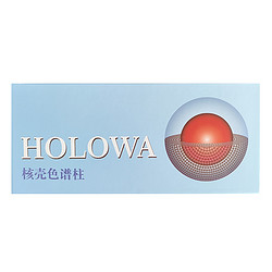 HOLOWA核壳色谱柱