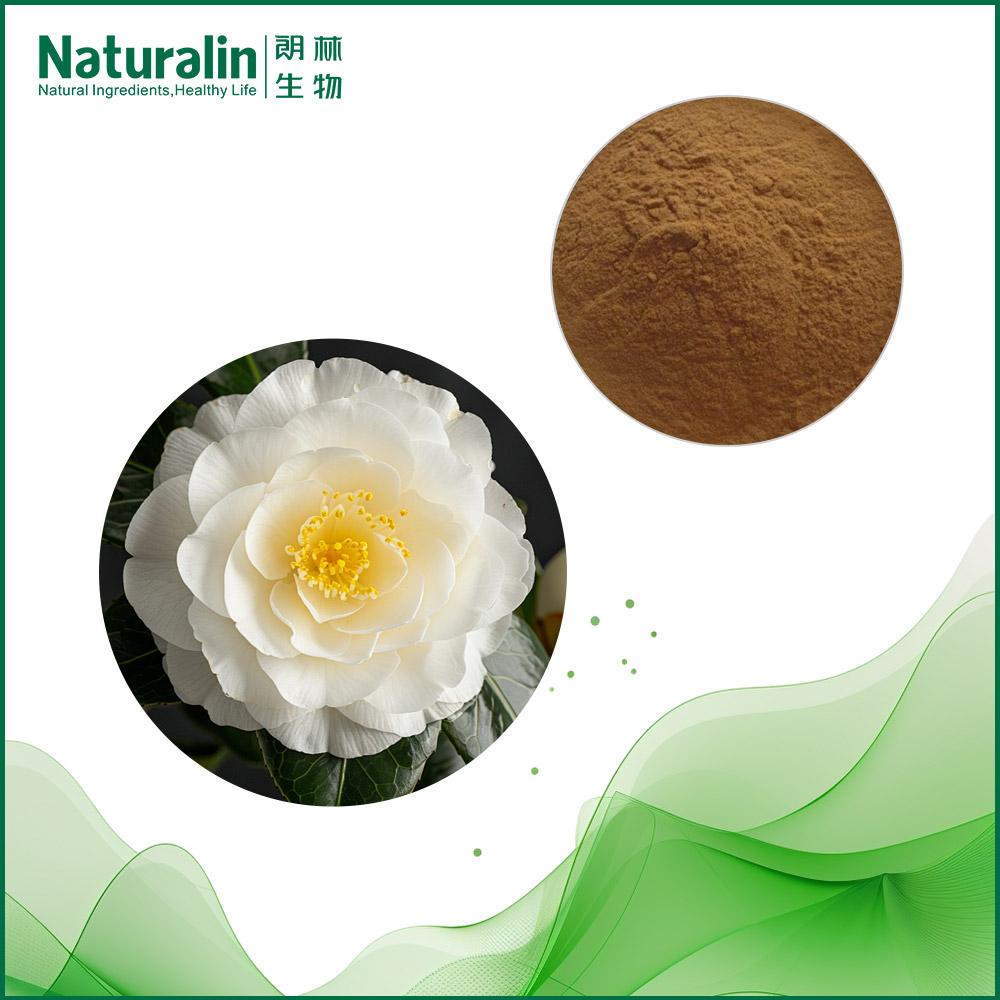 山茶花提取物