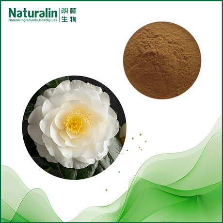 山茶花提取物