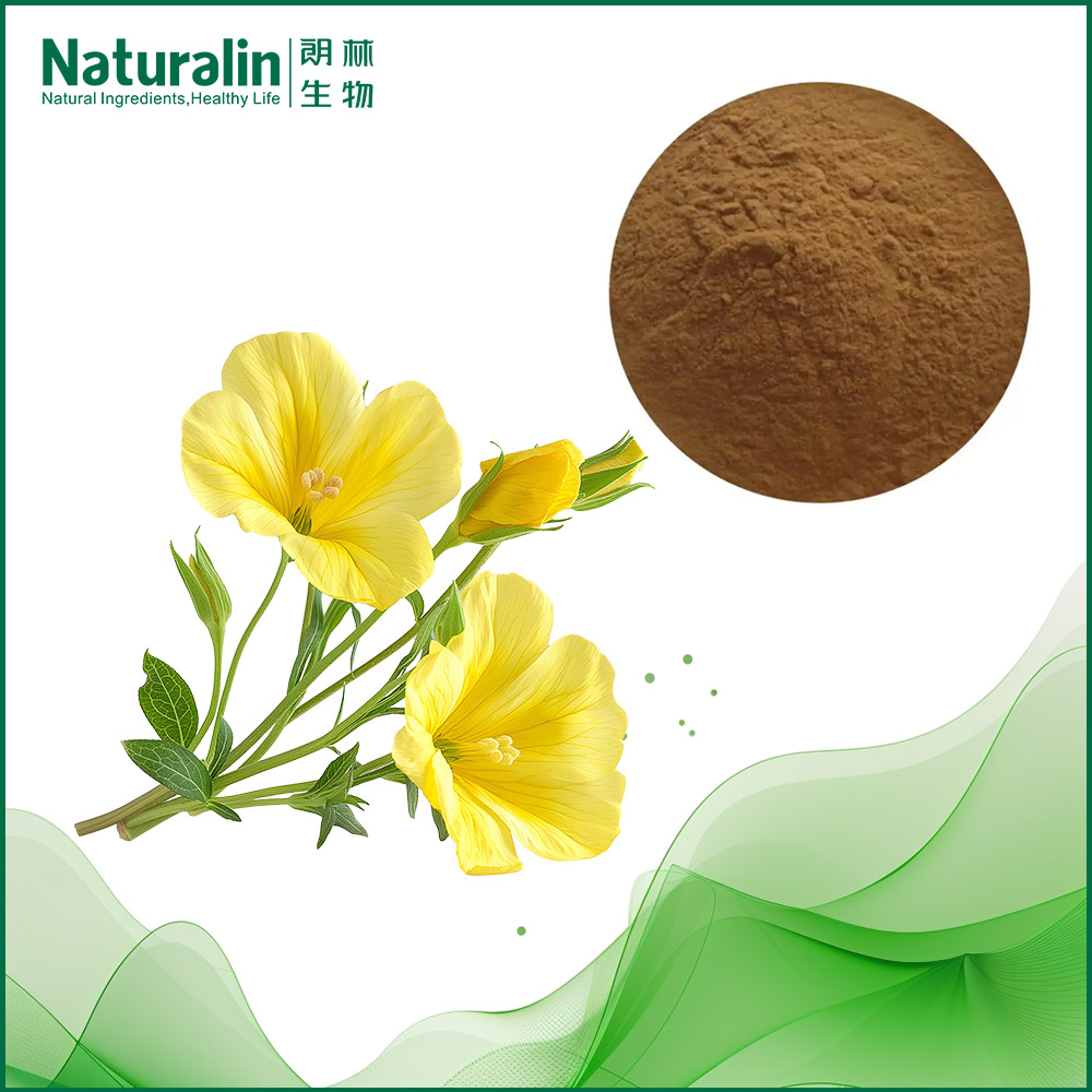 月見(jiàn)草提取物