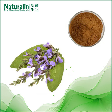 毛喉鞘蕊花提取物