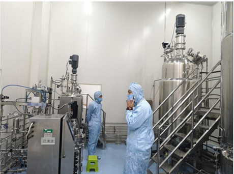 30L100L1000L2000L上磁力搅拌不锈钢生物反应器 BLBIO-30SCUC100SCUS1000SCUC2000SCUC