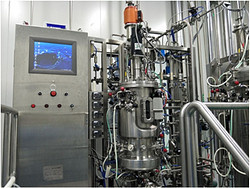50升细菌疫苗生物反应器 BLBIO-50V-GMP