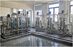 15升50升6联气升式不锈钢生物反应器  BLBIO-15SJ-3-50SJ