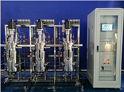 20L3联全自动生物反应器 BLBIO-20SJ-3-H