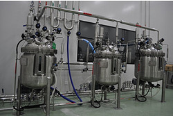 磁力搅拌疫苗生物反应器（300L）