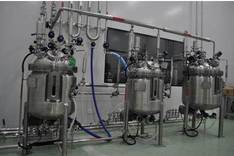 磁力搅拌疫苗生物反应器（300L）