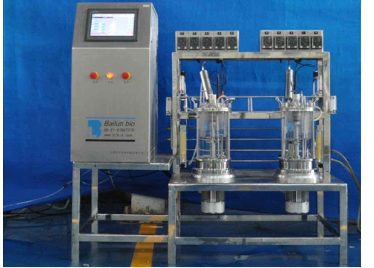 5升2聯(lián)離位滅菌磁力攪拌玻璃生物反應(yīng)器 BLBIO-5GC-2-A