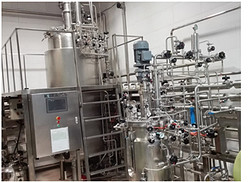 50L1100L全自动疫苗生物反应器（有200L配料罐）