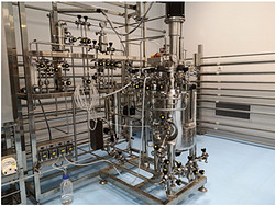 30L全自動生物反應器 BLBIO-30SJA-AUTO