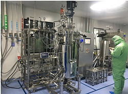 150L全自动生物反应器 BLBIO-150SJA-AUTO