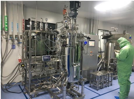 150L全自动生物反应器 BLBIO-150SJA-AUTO