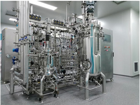 10L100L2级全自动疫苗生物反应器 BLBIO-10V-100V