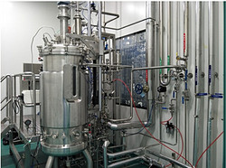 400L生物反应器通过GMP认证   BLBIO-400SJA-GMP
