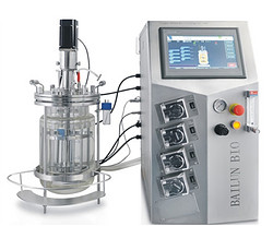 5L双臂玻璃生物反应器（玻璃夹套温控）BLBIO-5GJGG