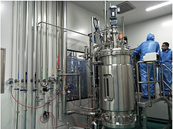 300L全自动疫苗生物反应器（GMP）