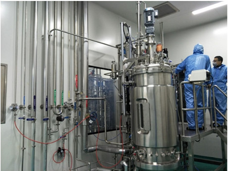 300L全自动疫苗生物反应器（GMP）