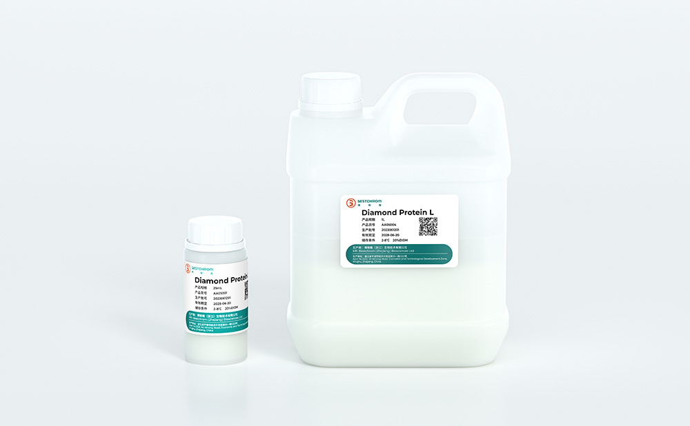 Diamond Protein L