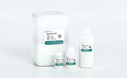 Bestarose 4FF/Bestarose 6FF