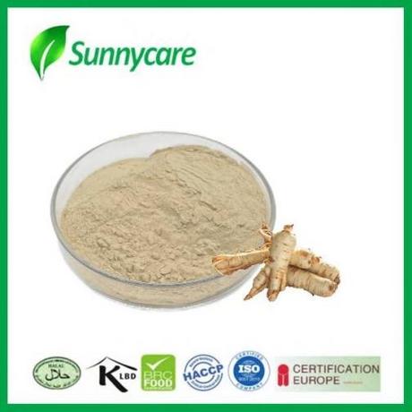 人参提取物（人参皂苷1%-80%）UV