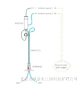 大鼠双通道自主给药系统