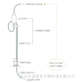 大鼠单通道自主给药系统