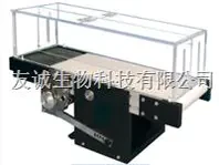 動(dòng)物跑臺(tái)