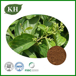 Thunder God Vine Extract