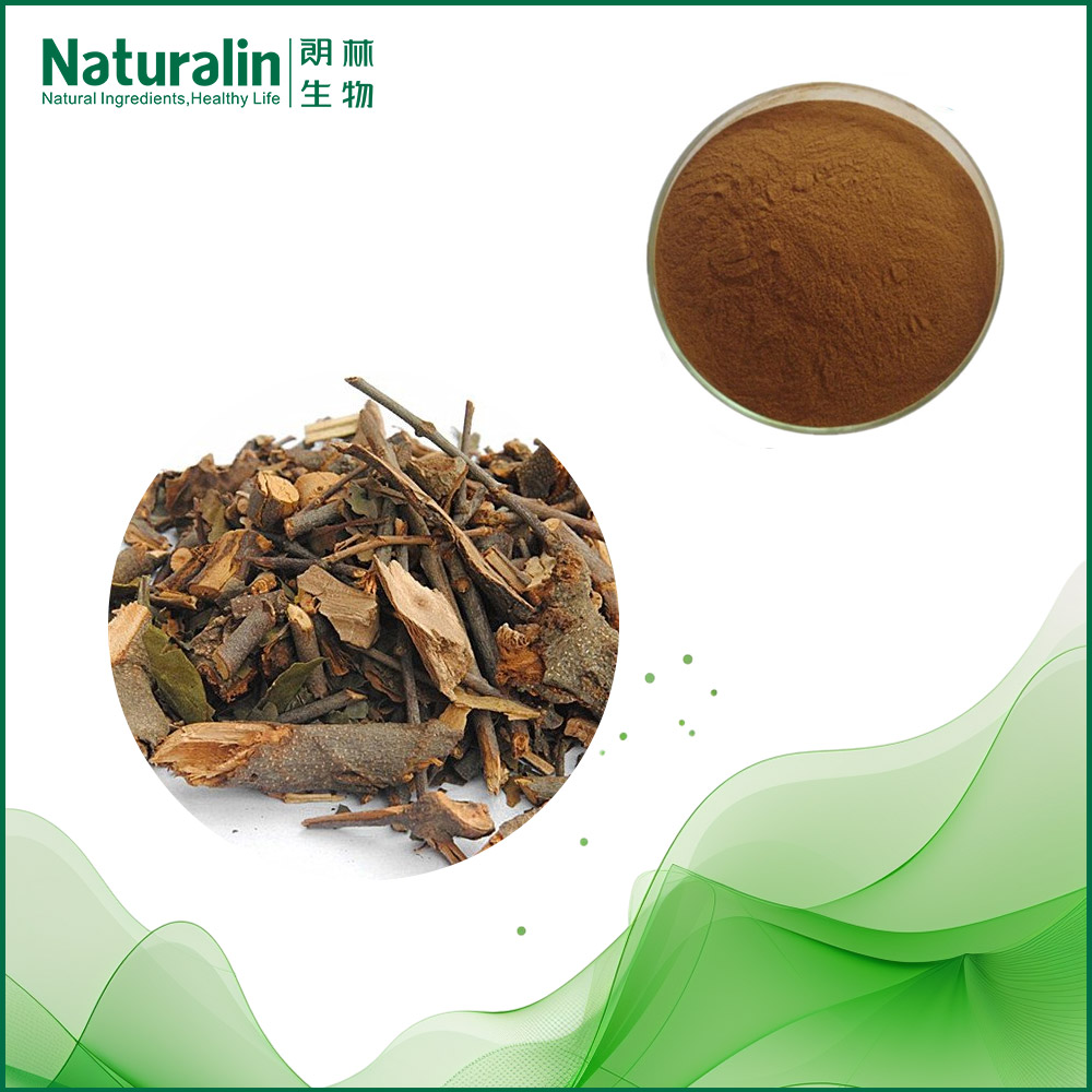 Chinese Taxillus Twig Extract