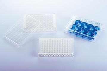 Cell Culture Plates