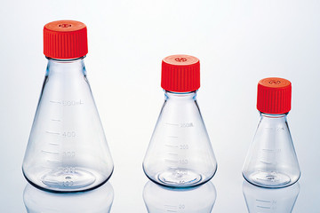 Erlenmeyer Flasks